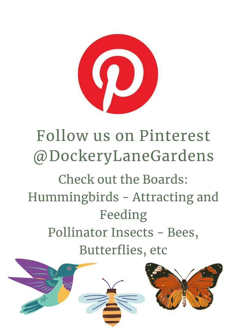a flyer sharing pinterest account @dockerylanegardens. check out boards: Hummingbirds and pollinator insects. includes images of pineterest logo and whimsical hummer, bee, butterfly.