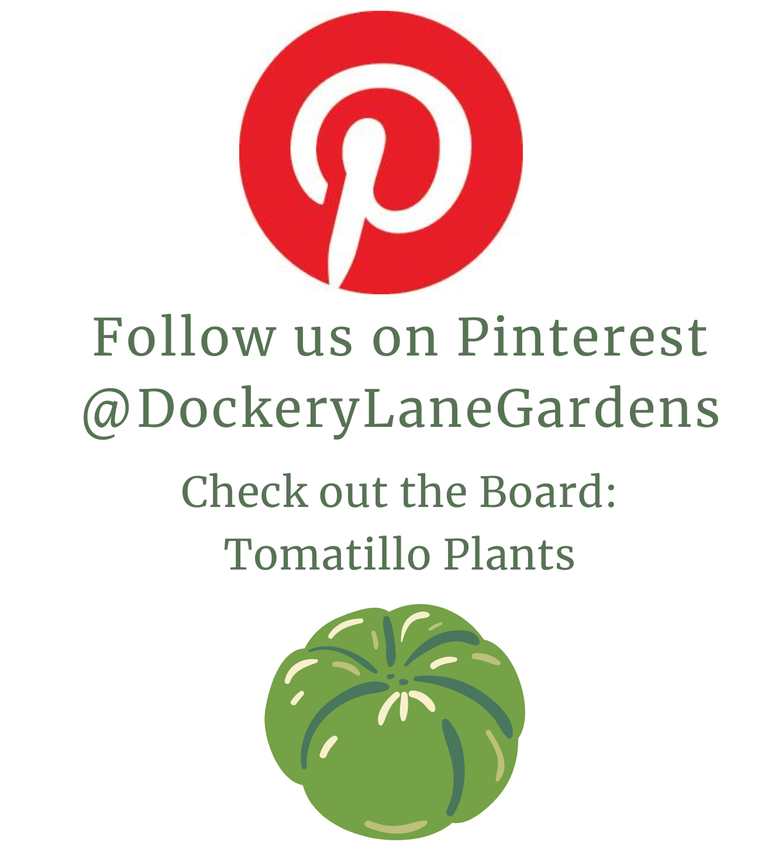 a flyer sharing pinterest account @dockerylanegardens. check out board: Tomatillo Plants. includes images of pineterest logo and  whimsical tomatillo