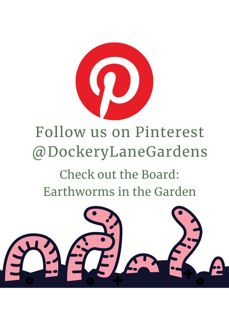 a flyer sharing pinterest account @dockerylanegardens. check out board: Earthworms in the Garden.  includes images of pineterest logo and whimsical earthworms.